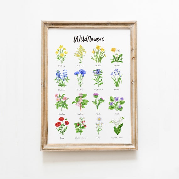 Consider the Wildflowers 8x10 Art Print Flower Art Print Texas