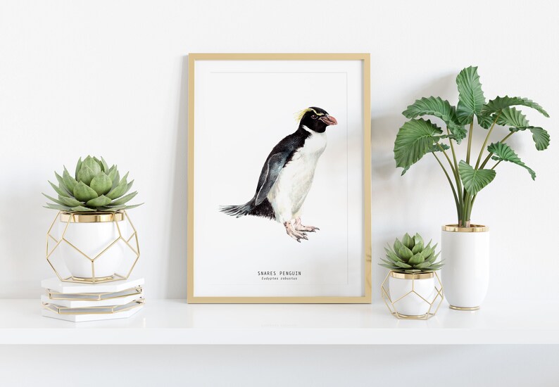 Snares penguin print dining room nature gallery wall art nautical beach home décor gift cute penguins nursery Eudyptes robustus image 2