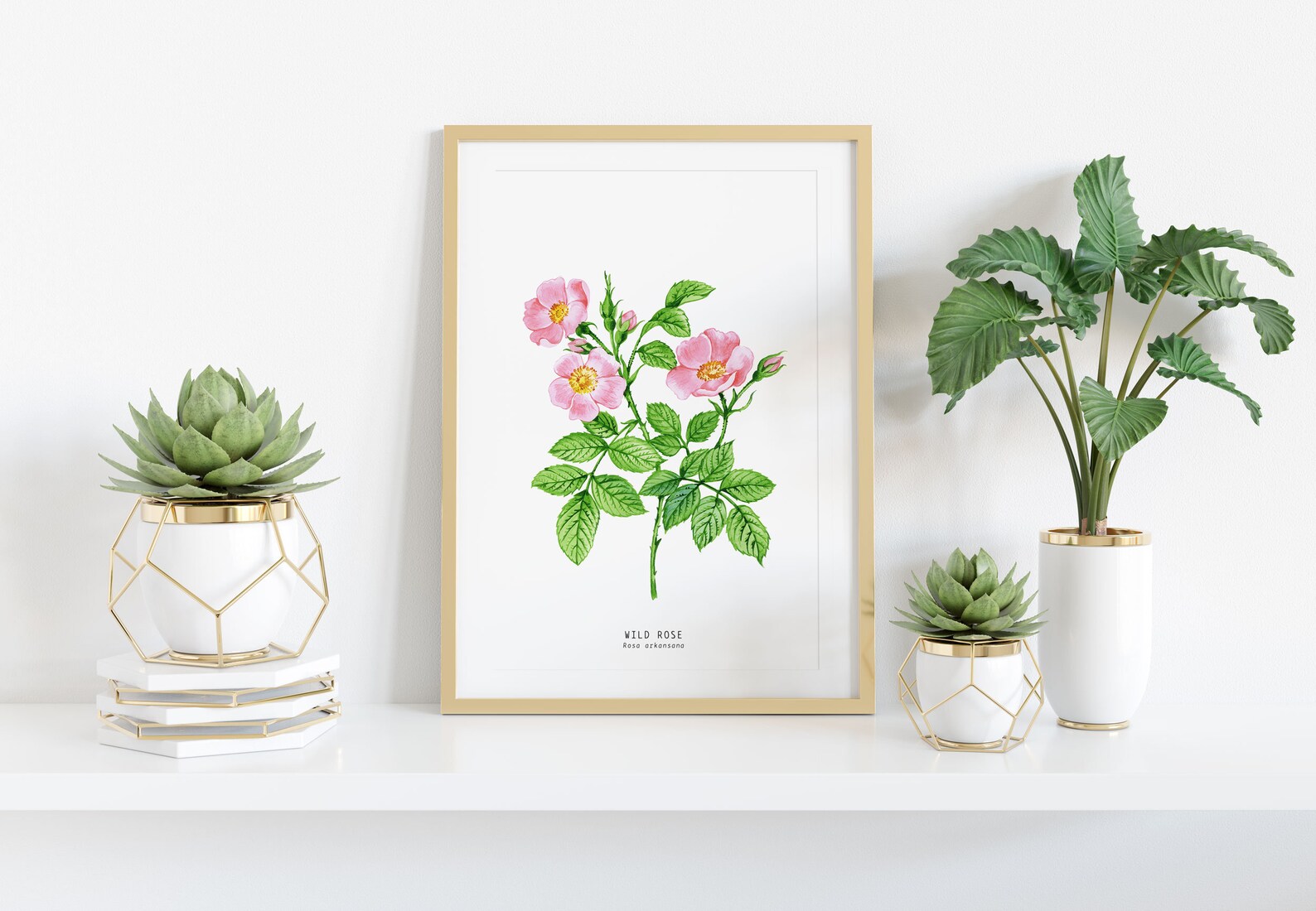 Wild Prairie Rose Watercolour Art Print | Iowa and North Dakota State ...