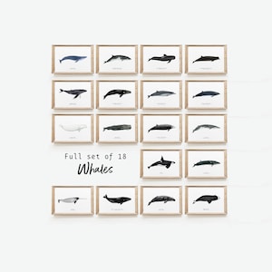18er Set Aquarell Drucke | Kunstdrucke | Hausdekor | Aquarell Bilder | Kunstdruck | Wohnheim Dekor