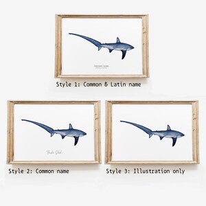 Thresher Shark watercolor fine art print shark lover poster bathroom nature wall art Sharks of the World home décor Alopias vulpinus image 4