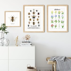 May include: Three framed prints on a white wall. The prints are of bees, wildflowers, and a single bee. The prints are in wooden frames with a light brown finish. The prints are hanging on a white wall. There is a white dresser with a wicker basket underneath. There is a wooden bench with a gray knitted throw on it.