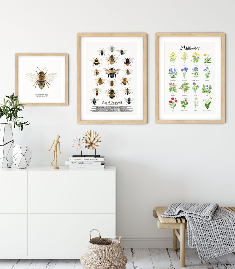 May include: Three framed prints on a white wall. The prints are of bees, wildflowers, and a single bee. The prints are in wooden frames with a light brown finish. The prints are hanging on a white wall. There is a white dresser with a wicker basket underneath. There is a wooden bench with a gray knitted throw on it.