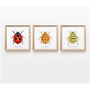 Set of 3 ladybug, ladybird, lady beetle prints | living room, dining, bedroom, bathroom décor | gallery wall | kids nursery wall art gift