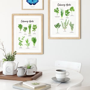 Set of 2 Botanical Herbs prints Herbs wall art for the kitchen Gardening gift Housewarming gift Foodie gift Herb Kitchen decor image 5