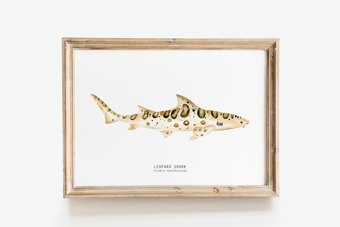 Leopard Shark Watercolour Wall Art Print | Ocean Animals Wall Art ...