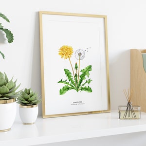 Dandelion wildflower nature print Floral kitchen dining room wall art Home flower art décor Taraxacum officinale dandelions image 3