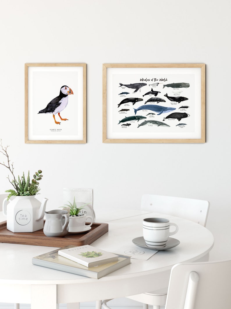 Impression dart aquarelle Atlantic Puffin Décoration murale à thème nautique Art mural de la maison de plage Affiche doiseau Décor de pépinière Cadeau de pendaison de crémaillère image 6