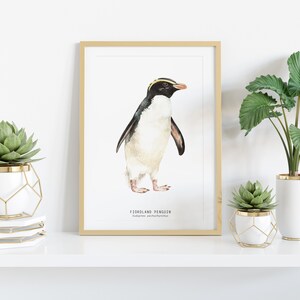 Fiordland Penguin fine art print beach coastal ocean poster gift nature wall set penguins home nursery décor Eudyptes pachyrhynchus image 2