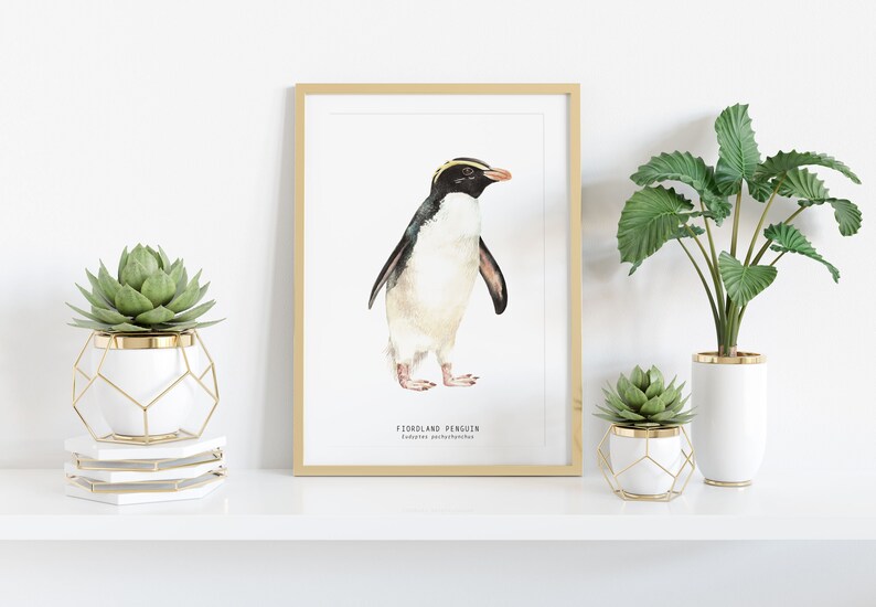 Fiordland Penguin fine art print beach coastal ocean poster gift nature wall set penguins home nursery décor Eudyptes pachyrhynchus image 2