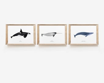 Set of 3 whale prints | Nautical wall decor | Bathroom wall art | Nursery art | Home decor | Housewarming gift | Nautical gift
