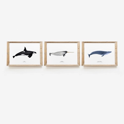 Set of 3 Nursery Art Print Twinkle Twinkle Little Star Love - Etsy