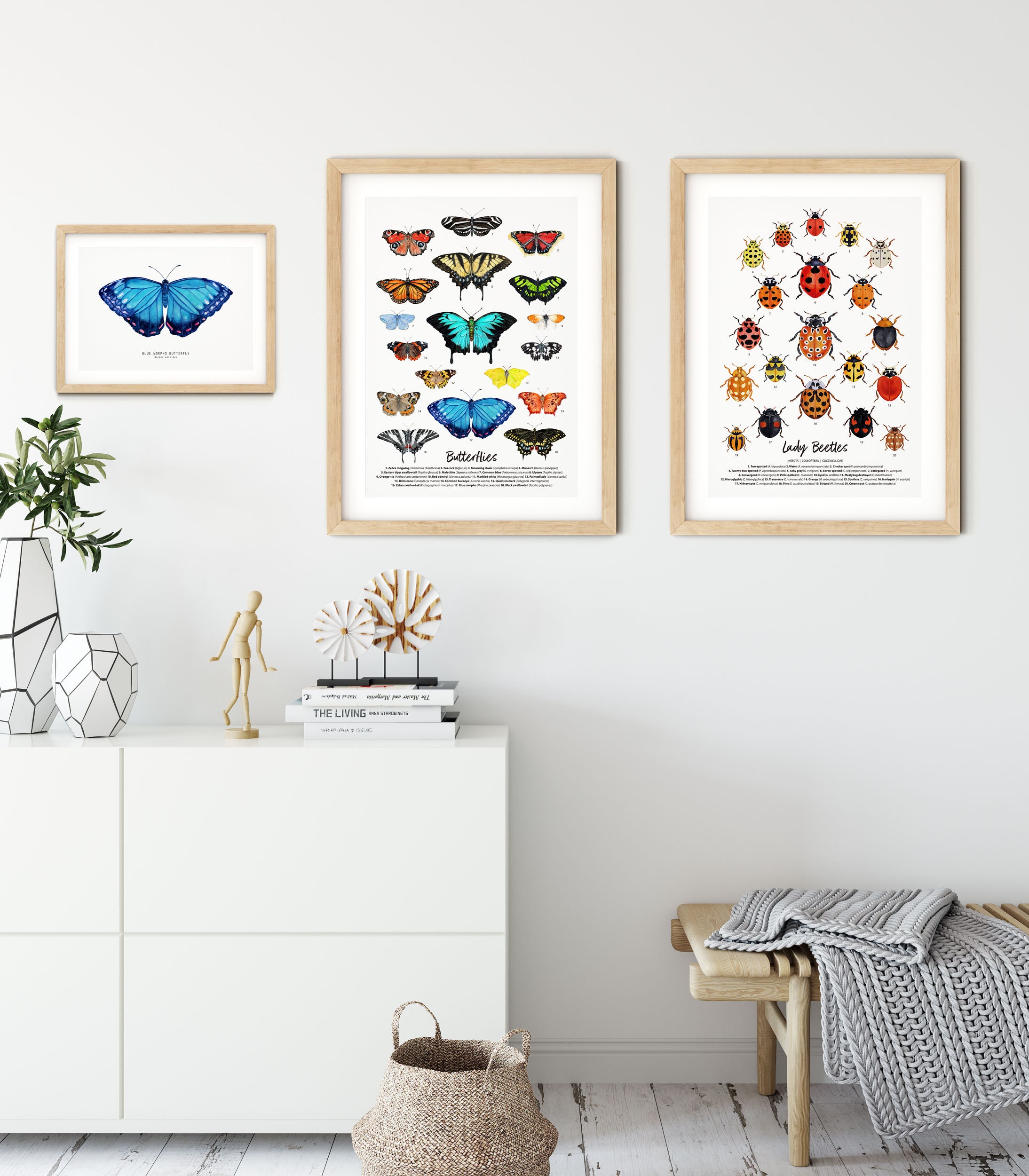 Blue Morpho, Bluebottle and Purple Emperor Butterfly Pin Set – Botanical  Bright - Add a Little Beauty to Your Everyday