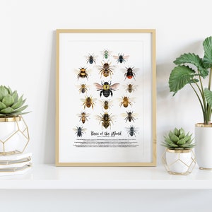 Bees of the World art print Homeschool & Montessori learning education Bumblebee Honey bee poster Living room, bathroom, bedroom décor image 2