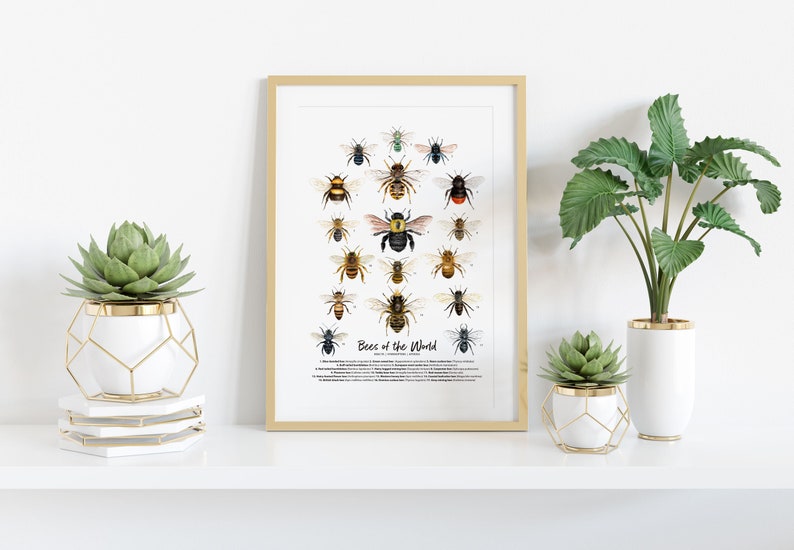 Bees of the World art print Homeschool & Montessori learning education Bumblebee Honey bee poster Living room, bathroom, bedroom décor image 2