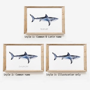 May include: Three framed prints of a watercolor illustration of a great white shark. The first print includes the common and Latin name of the shark. The second print includes only the common name. The third print is just the illustration.