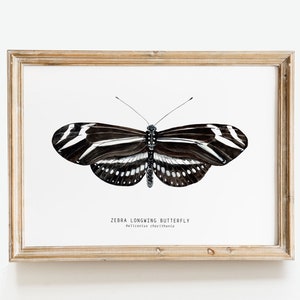Zebra Longwing Schmetterling Druck | Heliconius Charithonia Esszimmer Wandkunst | Wohnkultur minimalistisch Natur Geschenk | Montessori Kinderzimmer Drucke