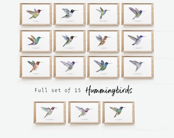 Set of 15 Hummingbird watercolour prints | Wall art set | Housewarming fine art | | Print set | Bird lover gifts | Home décor gifts