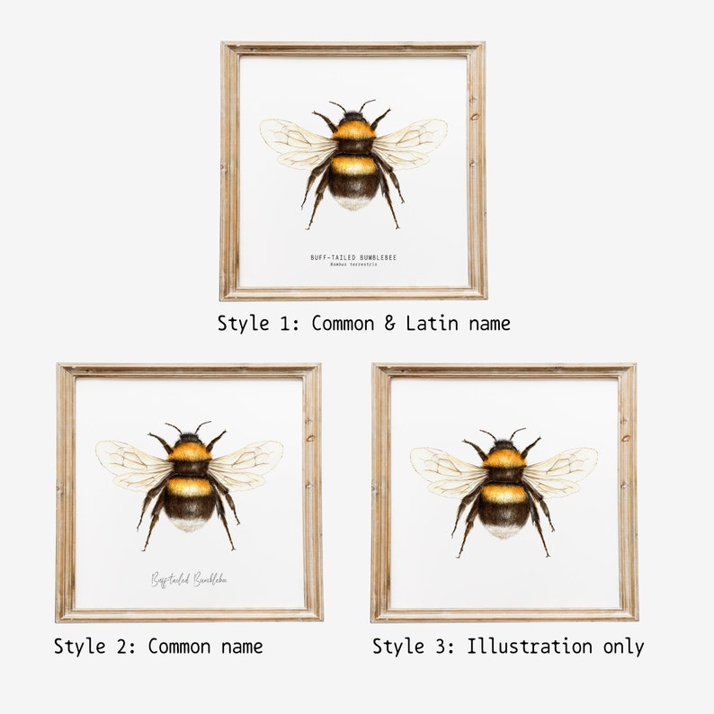 Bees of the world set of 18 art prints Art collection Montessori learning Montessori education Gifts for bee lovers Home decor image 8