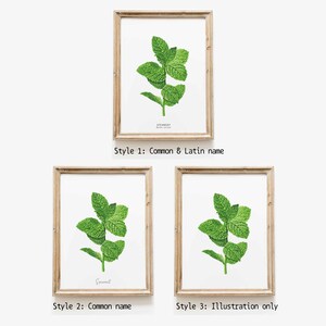 Spearmint herb print Kitchen decor herb print Homeschool educational wall art Watercolor gift idea Culinary poster Unique birthday image 8