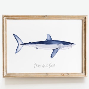 May include: A framed watercolor illustration of a blue and white shark with the text "Shortfin Mako Shark" below it.