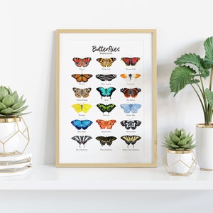 May include: A framed print with the title "Butterflies" and illustrations of 20 different butterflies with their names listed below each image. The print is displayed on a white shelf with two potted plants.
