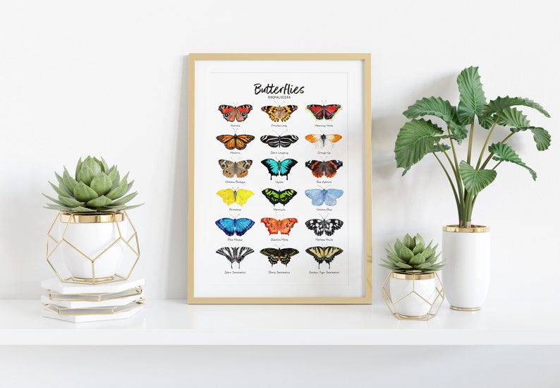 May include: A framed print with the title "Butterflies" and illustrations of 20 different butterflies with their names listed below each image. The print is displayed on a white shelf with two potted plants.