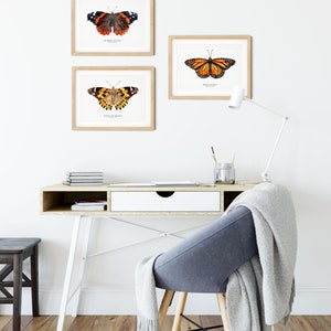 Red Admiral butterfly art print Vanessa atalanta watercolor wall décor bedroom, bathroom art poster living room, nursery, animal gift image 5