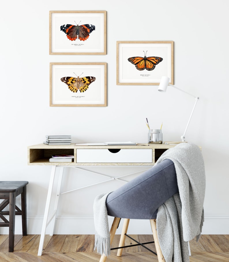 Red Admiral butterfly art print Vanessa atalanta watercolor wall décor bedroom, bathroom art poster living room, nursery, animal gift image 5