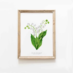 Lily of the Valley art print | Watercolor floral prints | living room, dining, kitchen, nursery wall décor Lilly Convallaria majalis lilies