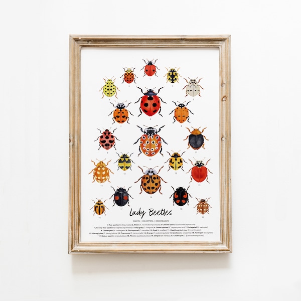 Lady Beetles art print | Ladybugs, Ladybirds | living room, nursery wall décor prints | poster gift for girl | nature watercolour painting