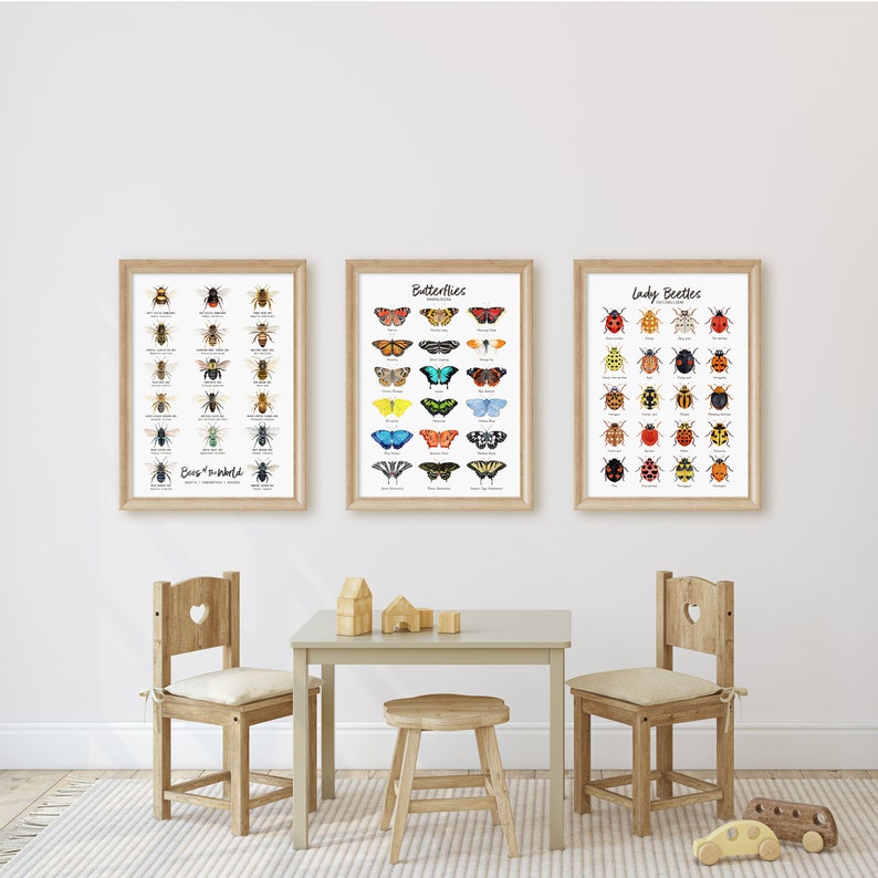 Bees of the world classroom wall art Homeschool poster Montessori learning & education Bee chart Classroom décor Bee lover gift image 4