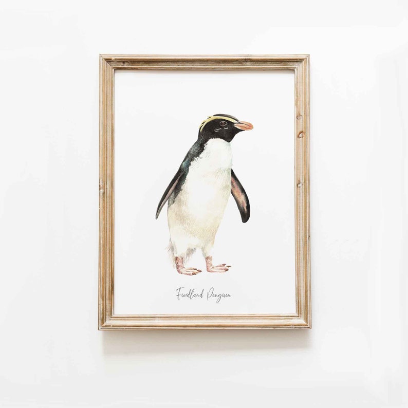 Fiordland Penguin fine art print beach coastal ocean poster gift nature wall set penguins home nursery décor Eudyptes pachyrhynchus image 9