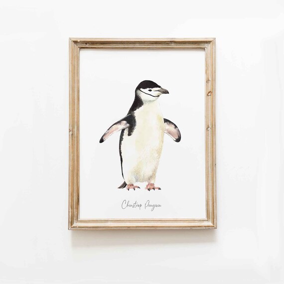 画材 Penguin Bib Penguins TOOB® I The Montessori Room Toronto