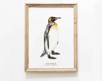 King Penguin fine art print | bird lover gifts | penguins nature wall art | living room, nursery home décor prints | Aptenodytes patagonicus