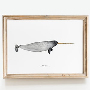 Narwal Wal Kunstwerk | Ozean-Wale als Print 'Einhorn der Meere' | Maritime Dekoration für Kinderzimmer, Wohnzimmer, Schlafzimmer & Geschenk