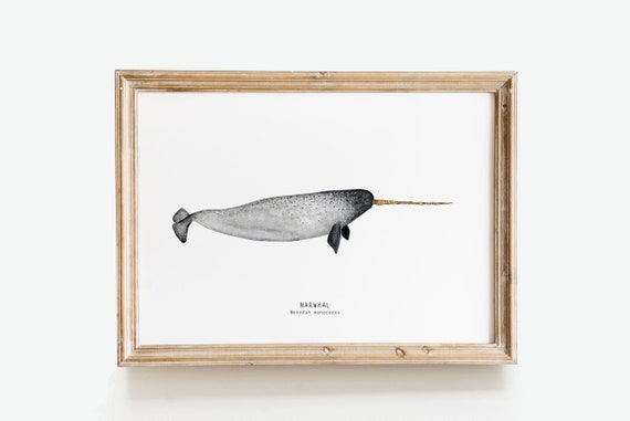 Narwhal Whale Art Work Ocean Whales Print 'unicorn of the Sea' Nautical  Themed Decor for Kids Nursery, Living Room, Bedroom & Gift 