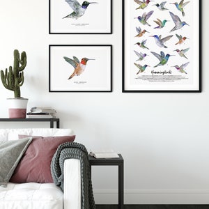 Black-chinned Hummingbird watercolor fine art print bird lover poster nature wall art hummingbirds home décor Archilochus alexandri image 7