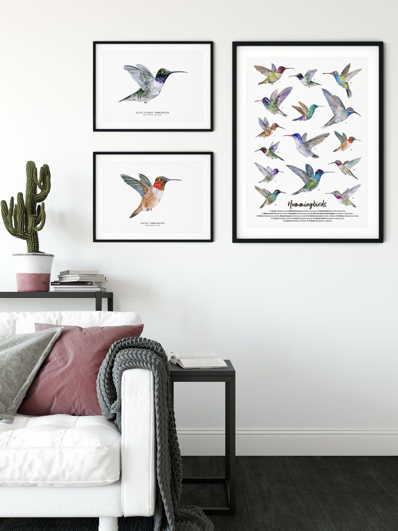 Black-chinned Hummingbird watercolor fine art print bird lover poster nature wall art hummingbirds home décor Archilochus alexandri image 7