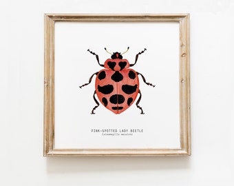Pink-spotted ladybug, ladybird, lady beetle print | living room, dining, bedroom, bathroom décor | gallery wall | kids nursery wall art gift