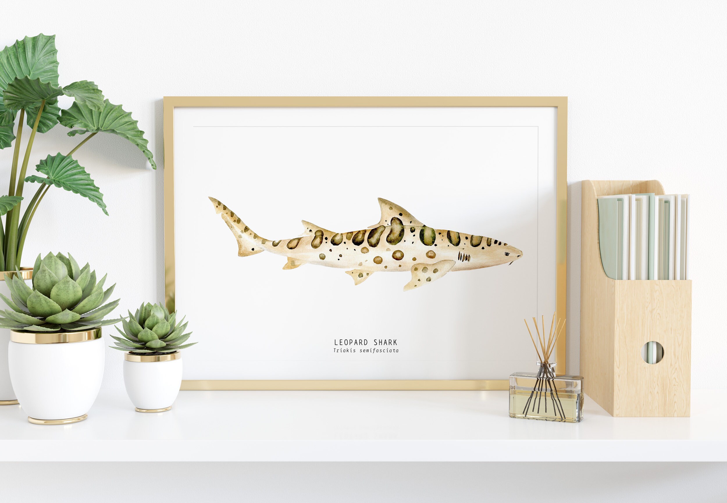 Leopard Shark watercolour wall art print Ocean animals wall | Etsy