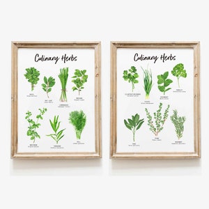 Set di 2 stampe di erbe botaniche, decorazione da parete con erbe per la cucina, regalo di giardinaggio, regalo di inaugurazione della casa, regalo per buongustai, arredamento per cucina con erbe aromatiche