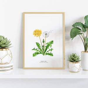 Dandelion wildflower nature print Floral kitchen dining room wall art Home flower art décor Taraxacum officinale dandelions image 2