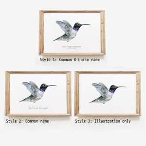 Black-chinned Hummingbird watercolor fine art print bird lover poster nature wall art hummingbirds home décor Archilochus alexandri image 4