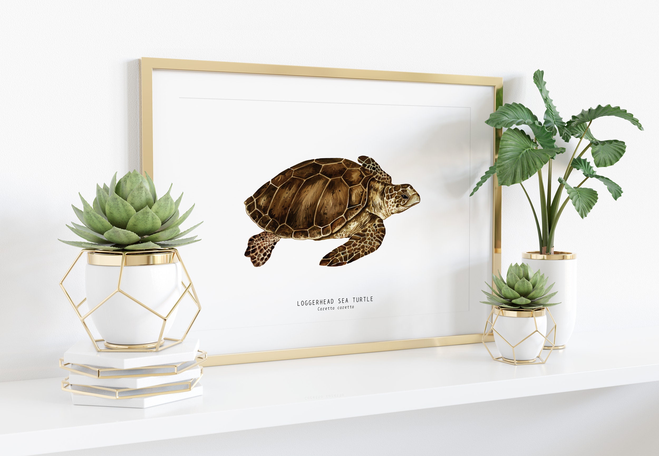 Loggerhead Sea Turtle Art Print | Caretta Caretta Wall Décor Gift ...