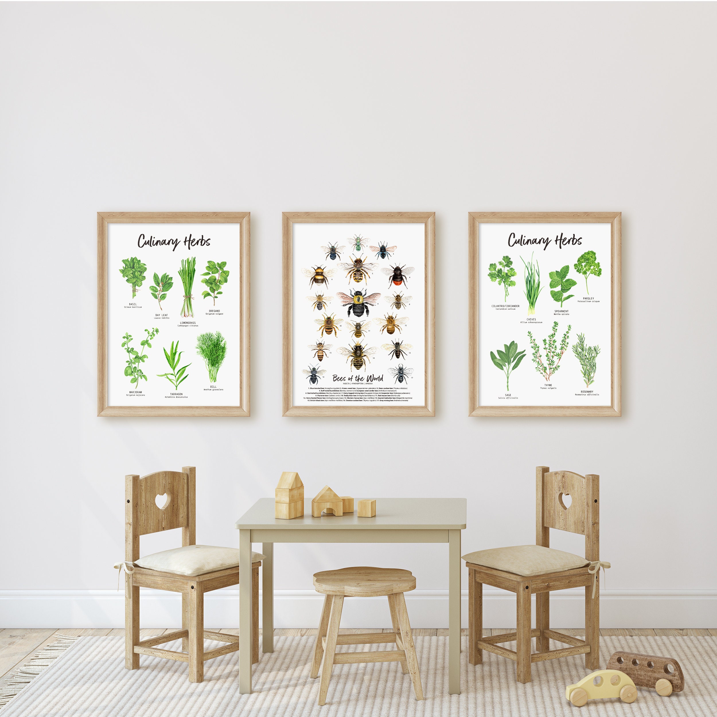 Set of 2 Botanical Herbs prints Herbs wall art for the | Etsy