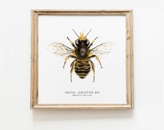 Coastal Leafcutter bee art print |Watercolor bee wall decor | Montessori inspired wall art | Home decor art print | Bee Fine Art print