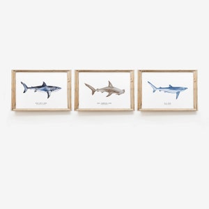 Conjunto de 3 impresiones de tiburones en acuarela / Arte mural original en acuarela / Sala de estar, guardería, decoración de pared del hogar / Arte mural de casa de playa oceánica