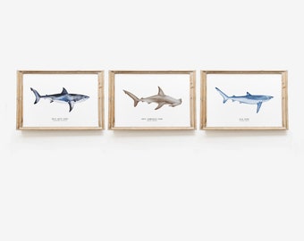Set of 3 watercolor shark prints | original watercolor wall art | living room, nursery, home wall décor | ocean beachhouse wall art
