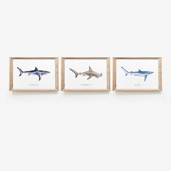 Set of 3 watercolor shark prints | original watercolor wall art | living room, nursery, home wall décor | ocean beachhouse wall art